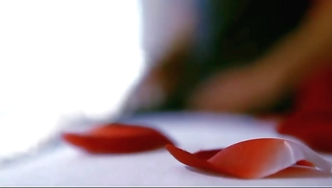 Free Behind The Scenes Porn Videos - 361tamil.com